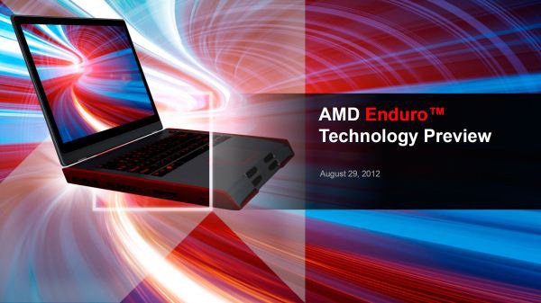 AMD Enduro