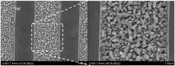 Batteria virus