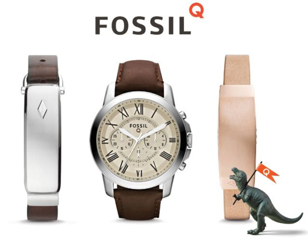 Fossil Q Family