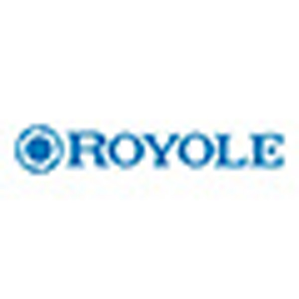 Royole FlexPai 2: Snapdragon 865, 5G e display pieghevole Cicala Wing