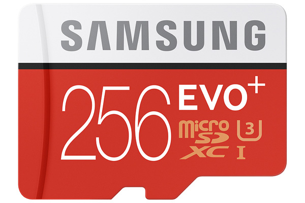 Samsung EVO Plus da 256GB 