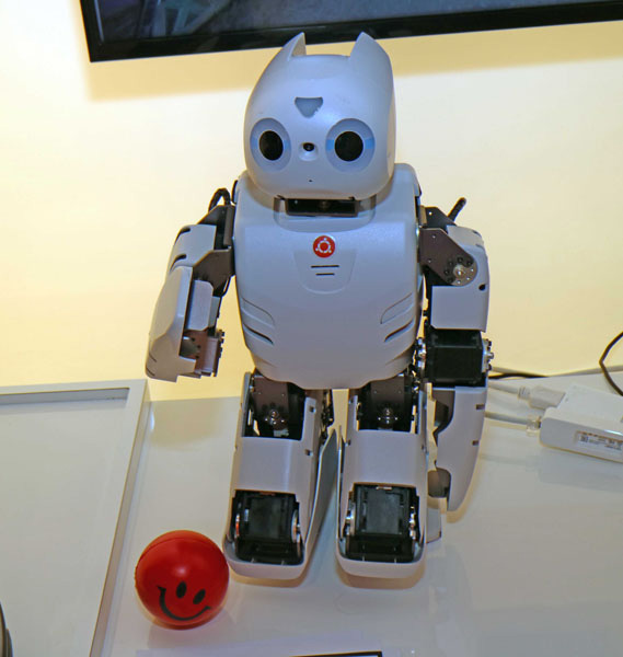 Ubuntu robot